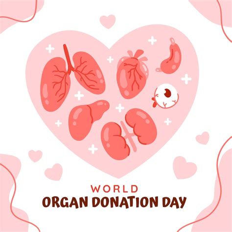 Premium Vector Flat World Organ Donation Day Illustration With Organs