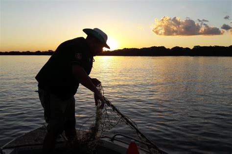 Plano Nacional De Desenvolvimento Vai Subsidiar Aquicultura De 2022 A