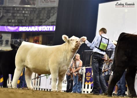 2019 Indiana State Fair Competitive Edge Genetics