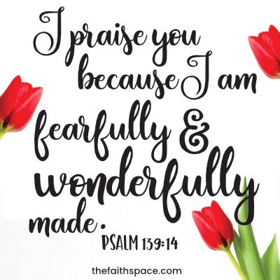 Fearfully And Wonderfully Made Meaning Of Psalm 139 13 14 Explained