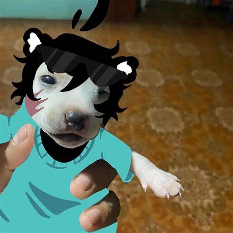 Spreen Cubito Perrito Sprite Arte Grunge Twitch Streamers Youtubers