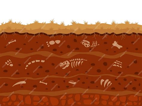 Premium Vector | Dinosaur fossil in soil underground Dirt animal bones