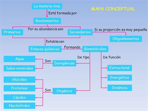 Arriba 89 Imagen Bioelementos Mapa Mental Abzlocal Mx