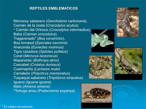 Unidad 2 Biodiversidad Y Ecosistemas De Venezuela Ppt