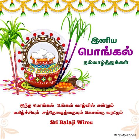 2022 Pongal Wishes Tamil - Pongal Valthukkal | Happy pongal wishes ...