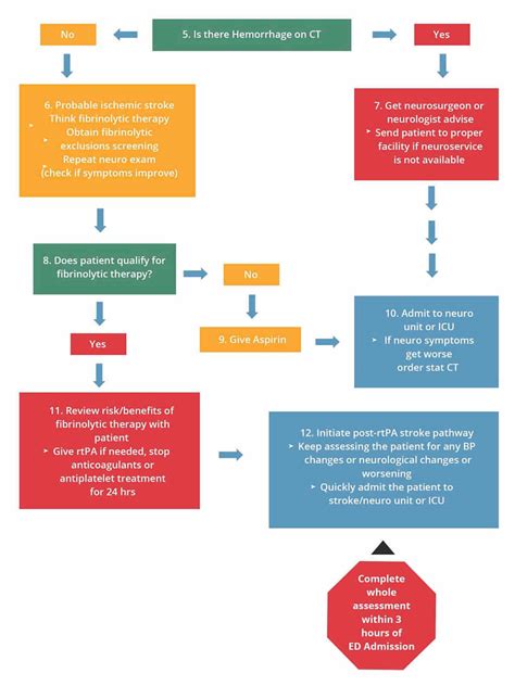 Acute Stroke 2 Major Types Of Strokes Ischemic Stroke