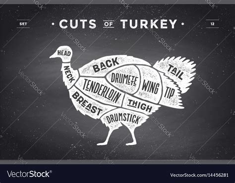 Cut Of Meat Set Poster Butcher Diagram Scheme Vector Image