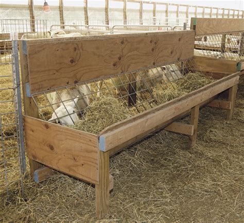 Build Your Own Feeders Premier1supplies Sheep Guide