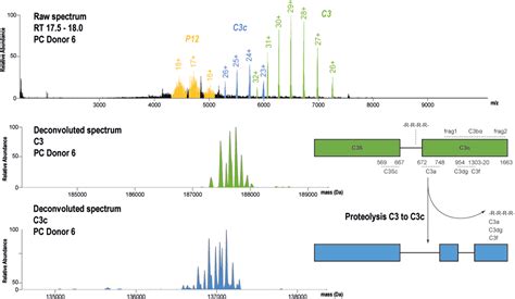 Charting The Proteoform Landscape Of Serum Proteins In Individual