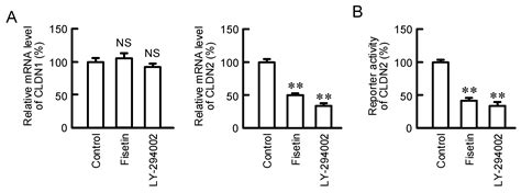 Ijms Free Full Text Increase In Anticancer Drug Induced Toxicity By