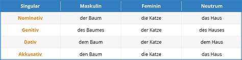 Nomen im Deutschen genaue Erklärungen Beispiele und Übungen