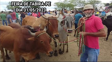 Tradicional Feira Do Gado Na Cidade De Tabira Pe Dia Youtube