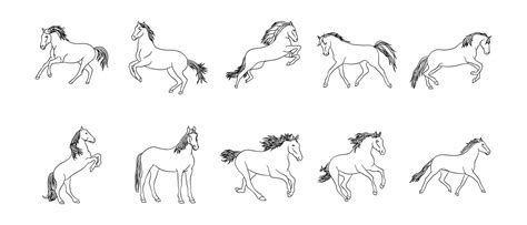 Horse Outline Illustration Vector Set 25383593 Vector Art at Vecteezy