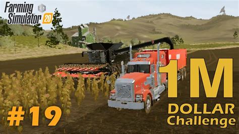 HARVEST SUNFLOWER IN FS 20 1MILLION DOLLAR CHALLENGE PART 19 Fs