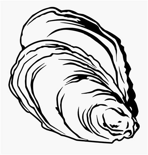 Oyster Clipart , Free Transparent Clipart - ClipartKey