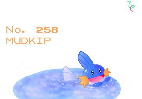 Mudkip Pokémon Image By Gulliblecherry 2311354 Zerochan Anime