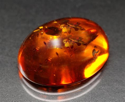 Amber: Natural Organic Amber Gemstone & Jewelry Information; GemSelect