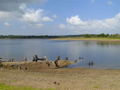 Roadford Lake. by Angela C.