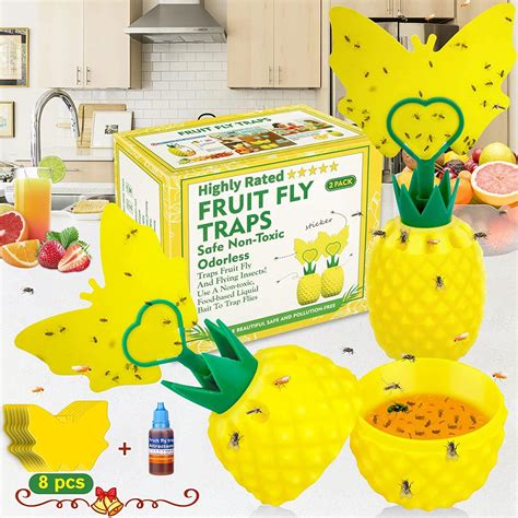 Buy Fruit Fly Trap For Indoors Effective Fly Catcher Gnat Trap Killer With Yellow Sticky Traps