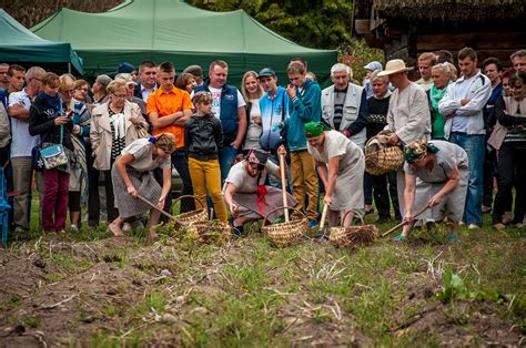 Jesień w polu i zagrodzie Muzeum Rolnictwa