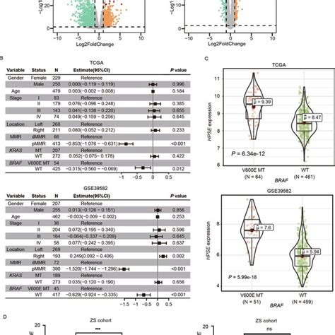 Hpse Expression Level Is Significantly Higher In Braf V600e Mutant