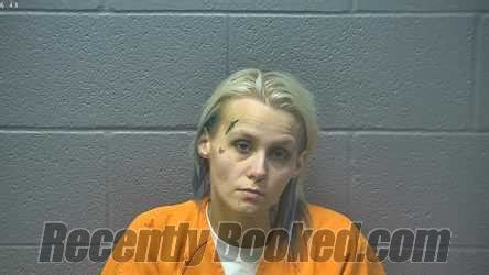 Recent Booking Mugshot For Tiffany Lynn Salyers In Shenandoah County