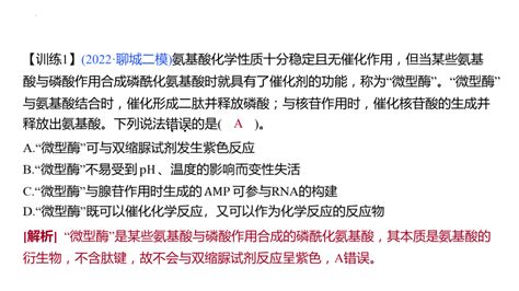 2024届高三生物一轮复习课件第九讲酶和atp（63张）21世纪教育网 二一教育