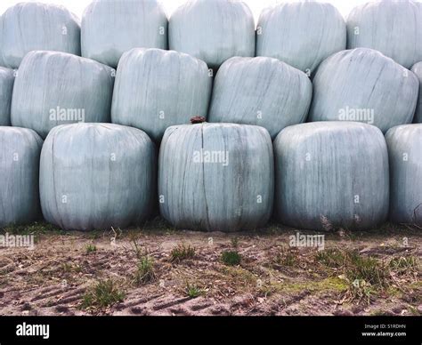 A Stack Of Silage Hay Bales Stock Photo Alamy