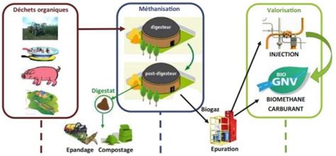 Un Guide Du Biognv Le Biogaz Pour V Hicules Magazine Et Portail