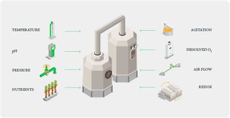 The Fermentation Process | Eurotherm