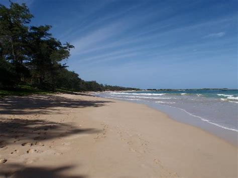 Malaekahana Bay Beach At The Campground Picture Of Malaekahana State Recreation Area Laie