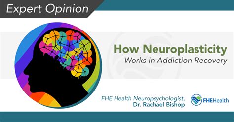 Neuroplasticitys Role In Addiction Recovery FHE Health