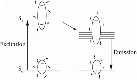 Schematic Representation Of Dipolar Relaxation In Polarity Sensitive