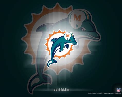 Miami Dolphin Wallpapers Wallpaper Cave