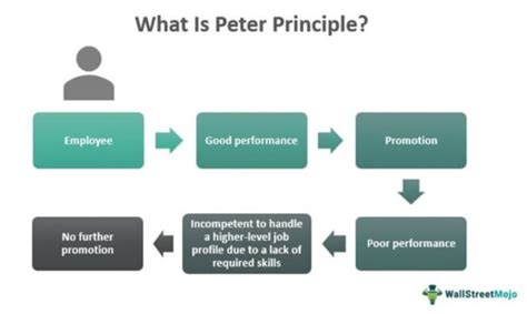 Peter Principle - Meaning, Examples, Theory, How it Works?