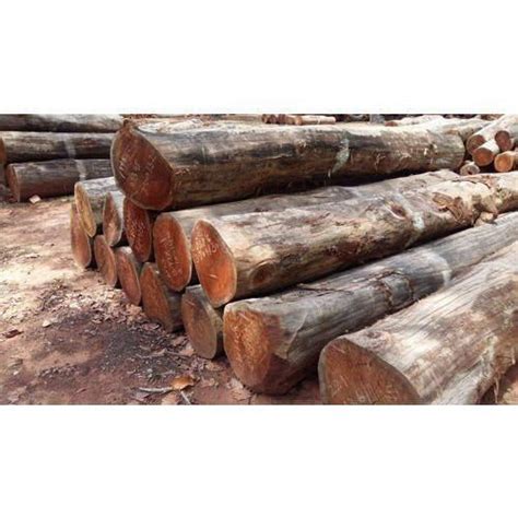 Solid Heavy Duty Long Durable Termite Resistance Brown Teak Wood Logs