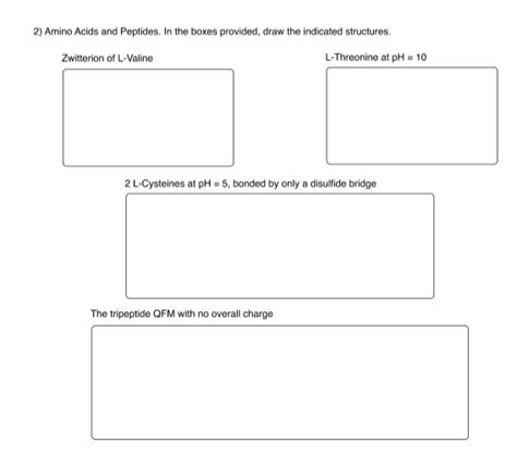 Solved 2 Amino Acids And Peptides In The Boxes Provided Chegg