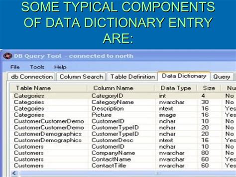 Data Dictionary Template