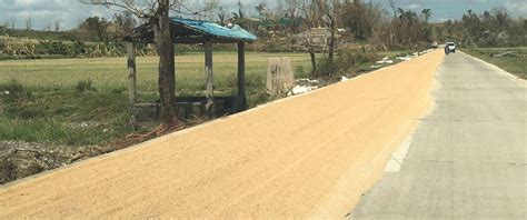 Ilagan Agriculture The Corn Capital Of The Philippines