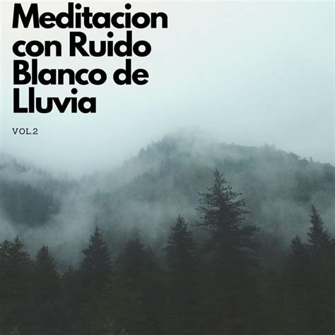 Meditación Con Ruido Blanco De Lluvia Vol 2 Album By Sonido De