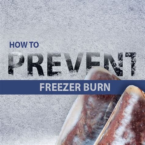 How To Prevent Freezer Burn JVR Industries Inc