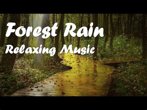 Forest Rain Relaxing Music Youtube