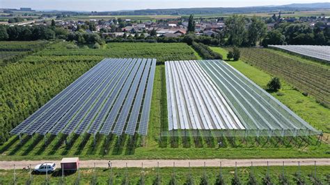 Solarpower Europe Releases New Guidelines For Agrivoltaics Pv