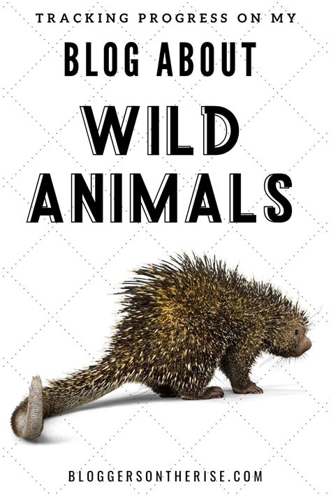 Wild Animals Blog Progress