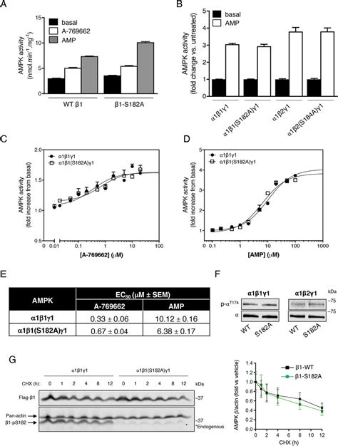 Complete Protease Inhibitor Cocktail | roche | Bioz