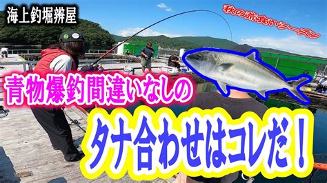 【海上釣堀】秋は青物が高活性！爆釣間違いなしのタナ合わせはコレだ！ Youtube