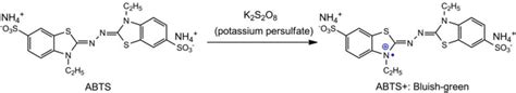 The Mechanism Of Abts Radical Scavenging Activity Assay Xiao Et Al