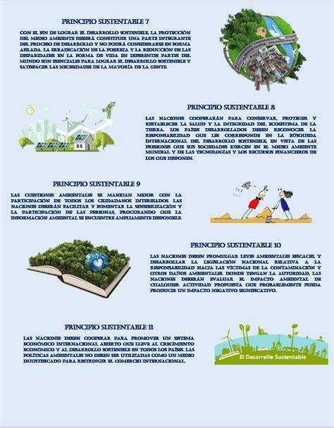 Infografía Sobre La Sustentabilidad