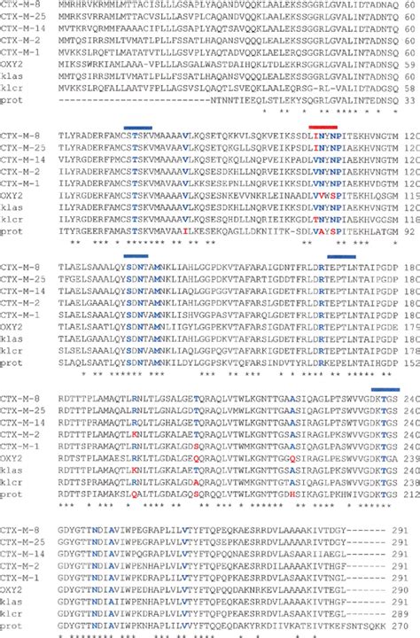 Amino Acid Alignment Of The Main Representatives Of The Five Groups Of