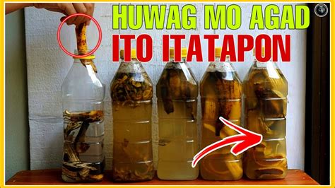 Ito Ang Gawin Mo Sa Balat Ng Saging Bago Mo Itapon Magugulat Ka Sa